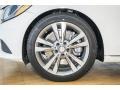 Polar White - C 300 Sedan Photo No. 10