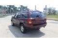 Sienna Pearlcoat - Grand Cherokee Laredo Photo No. 3