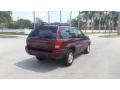 Sienna Pearlcoat - Grand Cherokee Laredo Photo No. 5