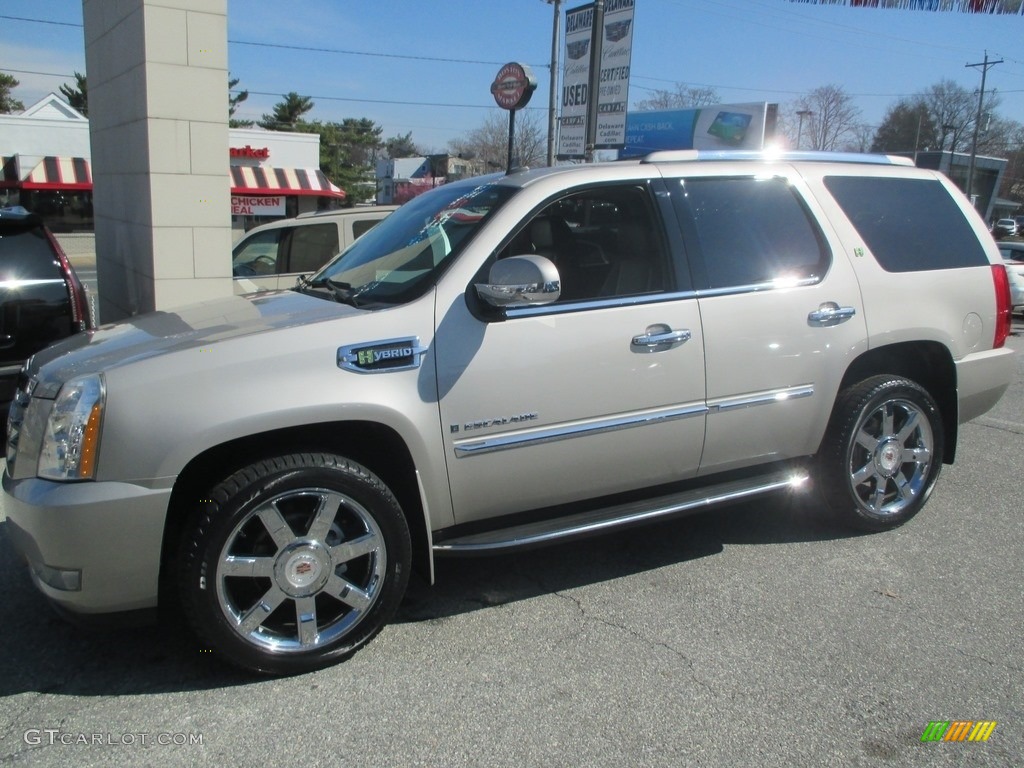 2009 Escalade Hybrid AWD - Quicksilver / Ebony/Ebony photo #3