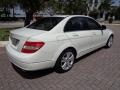 Arctic White - C 300 Luxury Photo No. 10