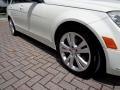 Arctic White - C 300 Luxury Photo No. 57