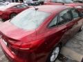 2016 Ruby Red Ford Focus SE Sedan  photo #7