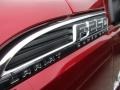 Ruby Red Metallic - F250 Super Duty Platinum Crew Cab 4x4 Photo No. 3