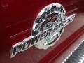 Ruby Red Metallic - F250 Super Duty Platinum Crew Cab 4x4 Photo No. 4