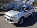 2013 Ingot Silver Metallic Ford Escape SEL 1.6L EcoBoost 4WD  photo #3