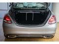 Palladium Silver Metallic - C 300 Sedan Photo No. 5