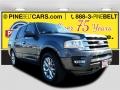 2015 Magnetic Metallic Ford Expedition Limited 4x4  photo #1