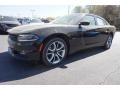 Pitch Black - Charger R/T Photo No. 1