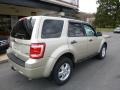 2012 Gold Leaf Metallic Ford Escape XLT V6 4WD  photo #2