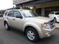 2012 Gold Leaf Metallic Ford Escape XLT V6 4WD  photo #7