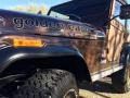  1977 CJ5 Golden Eagle Logo