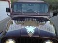  1977 CJ5 Golden Eagle Logo