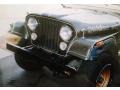 Autumn Red Metallic - CJ5 Golden Eagle Photo No. 29