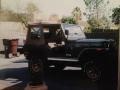 Autumn Red Metallic - CJ5 Golden Eagle Photo No. 31