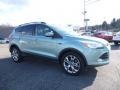 Frosted Glass Metallic 2013 Ford Escape SEL 1.6L EcoBoost 4WD