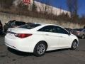 Shimmering White - Sonata GLS Photo No. 4
