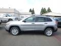 Billet Silver Metallic - Cherokee Sport Photo No. 3
