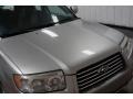 Steel Gray Metallic - Forester 2.5 X Premium Photo No. 54