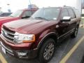 Bronze Fire Metallic - Expedition King Ranch Photo No. 2