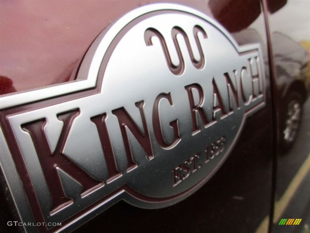 2016 Expedition King Ranch - Bronze Fire Metallic / King Ranch Mesa Brown/Ebony photo #3