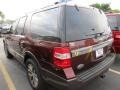 Bronze Fire Metallic - Expedition King Ranch Photo No. 5