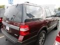 Bronze Fire Metallic - Expedition King Ranch Photo No. 9