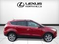 2013 Ruby Red Metallic Ford Escape SEL 2.0L EcoBoost 4WD  photo #2