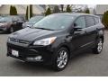 2013 Tuxedo Black Metallic Ford Escape SEL 1.6L EcoBoost  photo #7