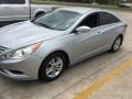 Radiant Silver - Sonata GLS Photo No. 2