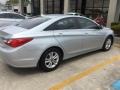 Radiant Silver - Sonata GLS Photo No. 4