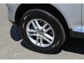 Reflex Silver Metallic - Touareg 2 VR6 Photo No. 14