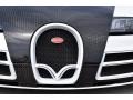 Pearl Metallic - Veyron 16.4 Mansory Linea Vivere Photo No. 23