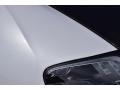 Pearl Metallic - Veyron 16.4 Mansory Linea Vivere Photo No. 31
