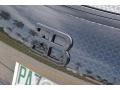 Pearl Metallic - Veyron 16.4 Mansory Linea Vivere Photo No. 49