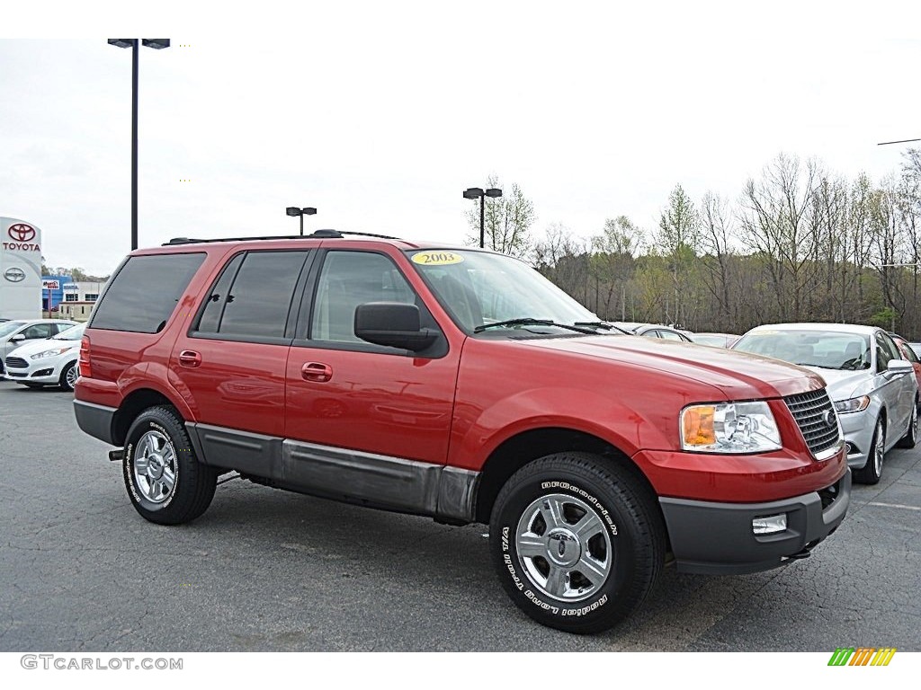 2003 Expedition XLT 4x4 - Laser Red Tinted Metallic / Flint Grey photo #1