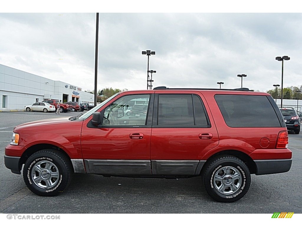 2003 Expedition XLT 4x4 - Laser Red Tinted Metallic / Flint Grey photo #6