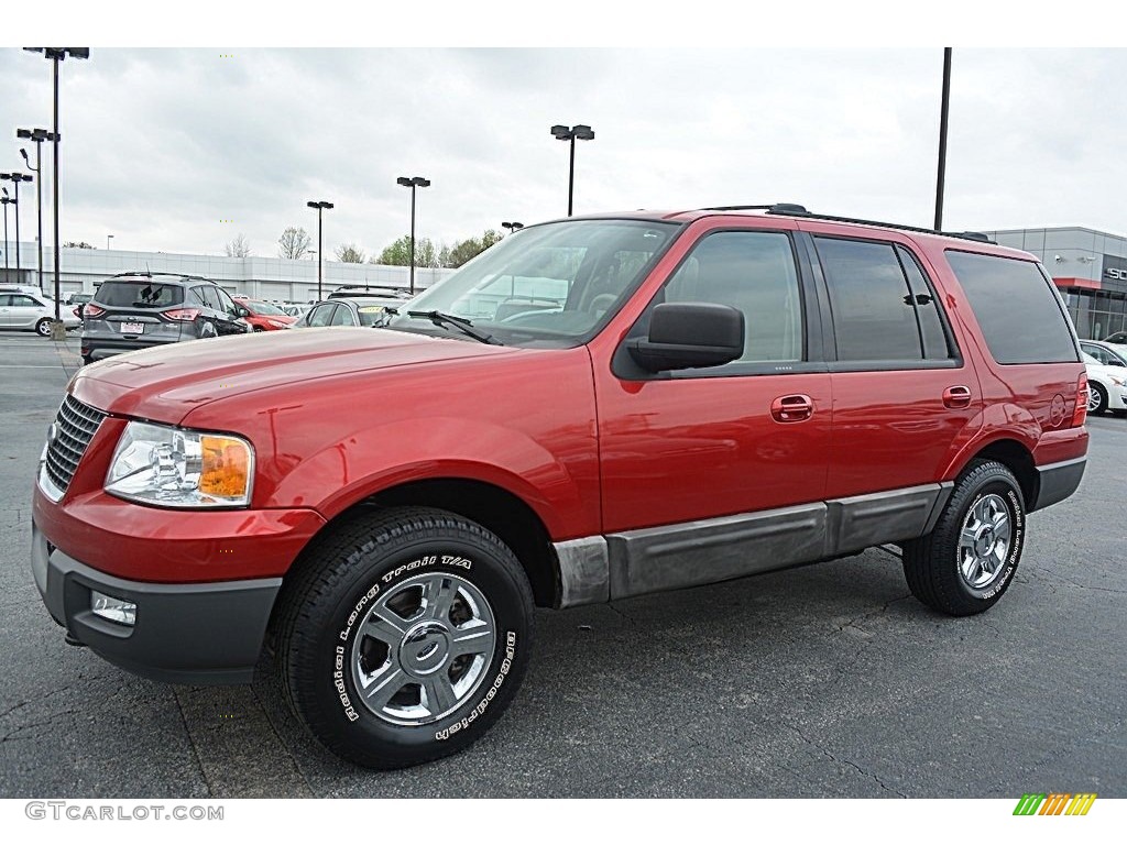 2003 Expedition XLT 4x4 - Laser Red Tinted Metallic / Flint Grey photo #7