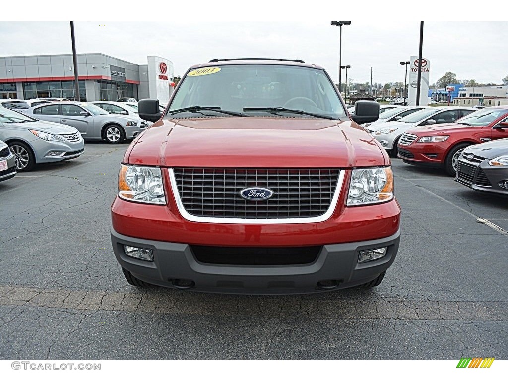 2003 Expedition XLT 4x4 - Laser Red Tinted Metallic / Flint Grey photo #25
