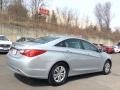 Radiant Silver - Sonata GLS Photo No. 4