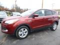 2016 Sunset Metallic Ford Escape SE 4WD  photo #5