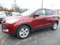 2016 Sunset Metallic Ford Escape SE 4WD  photo #5