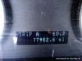 Ingot Silver Metallic - Focus SES Sedan Photo No. 18