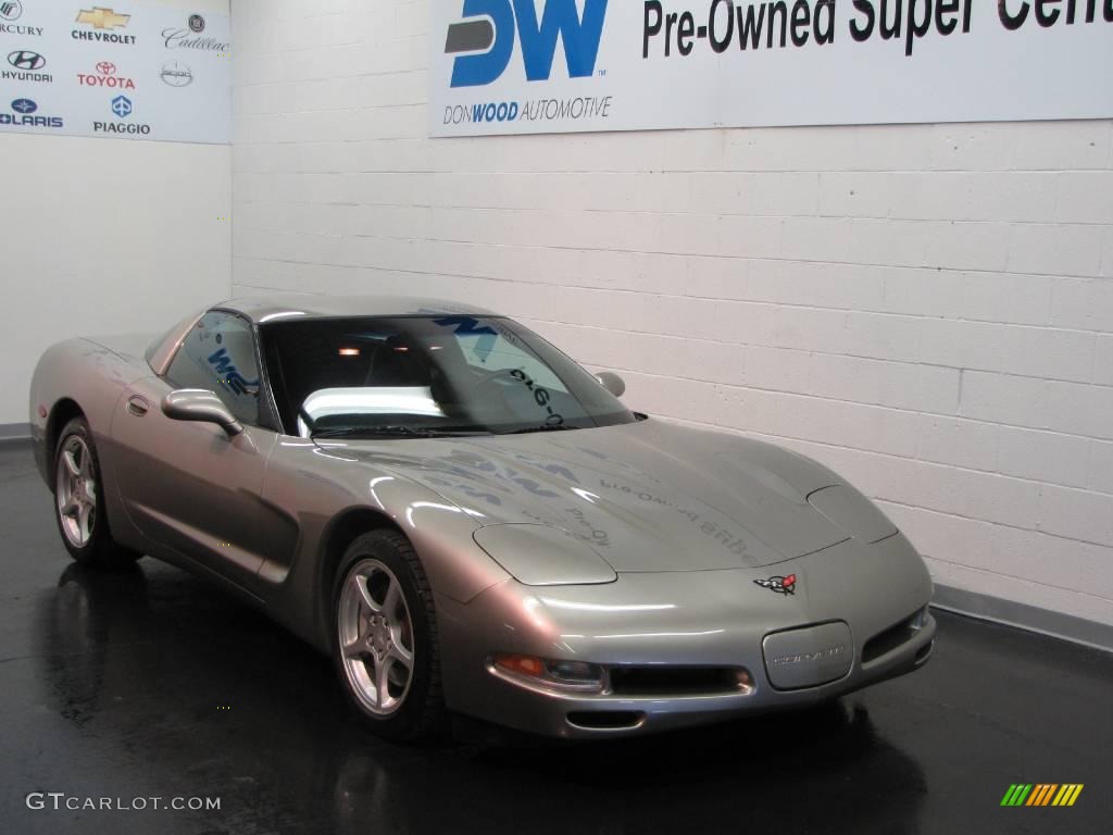 2000 Corvette Coupe - Light Pewter Metallic / Black photo #1