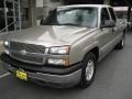 Light Pewter Metallic - Silverado 1500 LS Extended Cab Photo No. 3