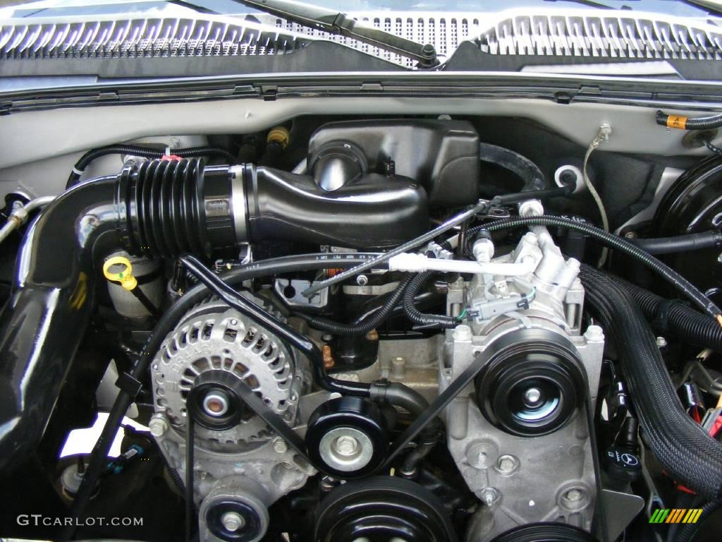 2006 Silverado 1500 LS Regular Cab - Silver Birch Metallic / Dark Charcoal photo #21