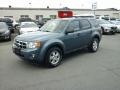 2010 Steel Blue Metallic Ford Escape XLT V6 4WD  photo #3