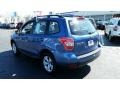 Quartz Blue Pearl - Forester 2.5i Photo No. 11