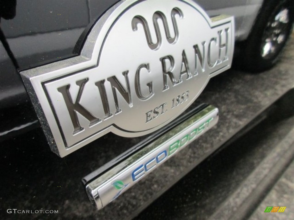 2016 F150 King Ranch SuperCrew 4x4 - Shadow Black / King Ranch Java photo #4