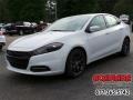 Bright White - Dart SE Photo No. 1